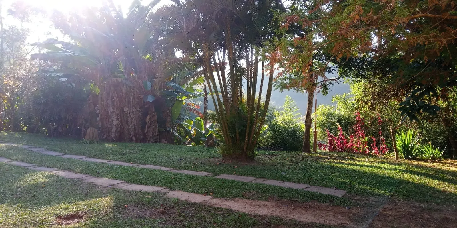Sítio, 4 quartos, 4 m² - Foto 19