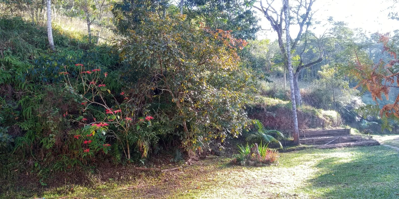 S&Iacute;TIO DE 4 ALQUEIRES &Aacute; VENDA EM PARAIBUNA/SP  Paraibuna - 