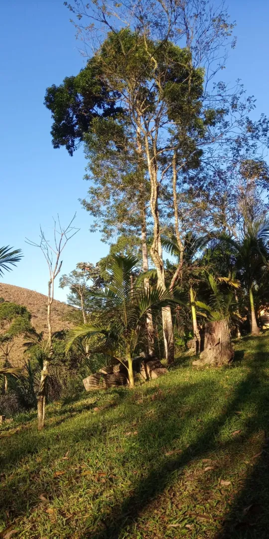 S&Iacute;TIO DE 4 ALQUEIRES &Aacute; VENDA EM PARAIBUNA/SP  Paraibuna - 