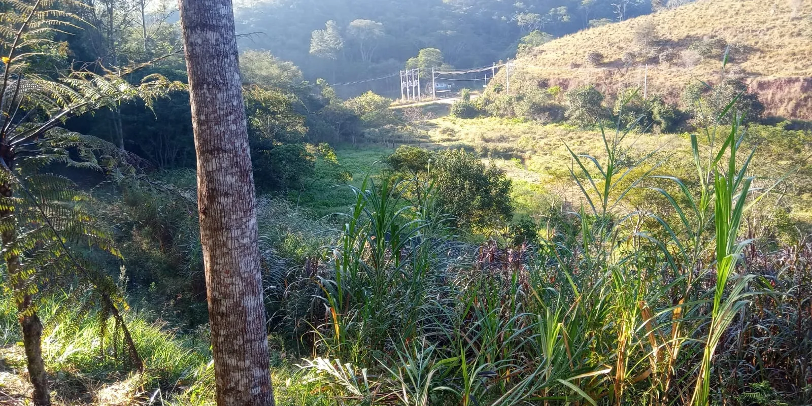S&Iacute;TIO DE 4 ALQUEIRES &Aacute; VENDA EM PARAIBUNA/SP  Paraibuna - 