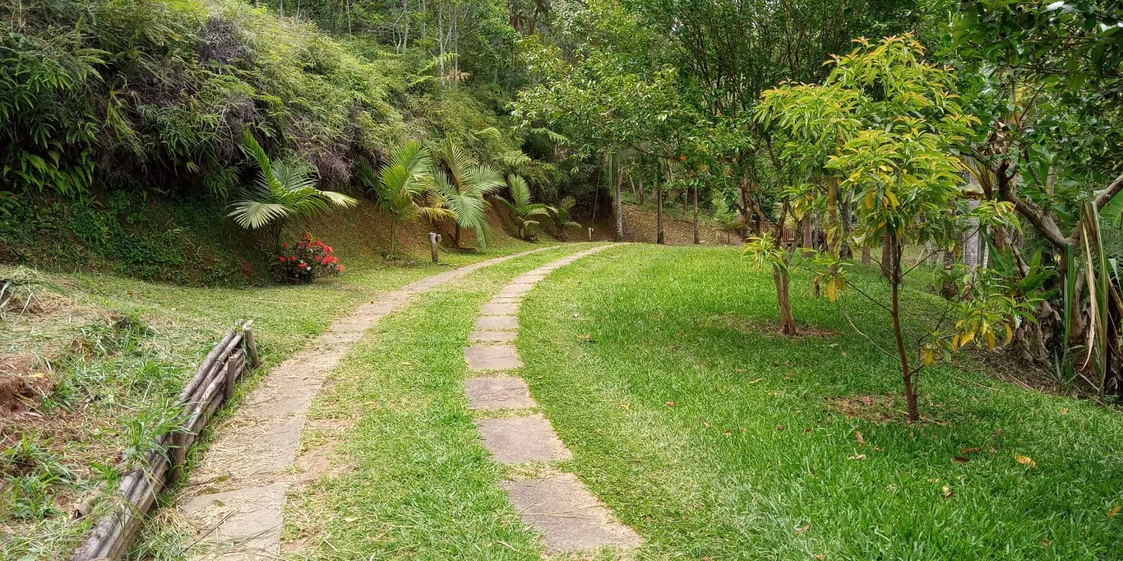 S&Iacute;TIO DE 4 ALQUEIRES &Aacute; VENDA EM PARAIBUNA/SP  Paraibuna - 