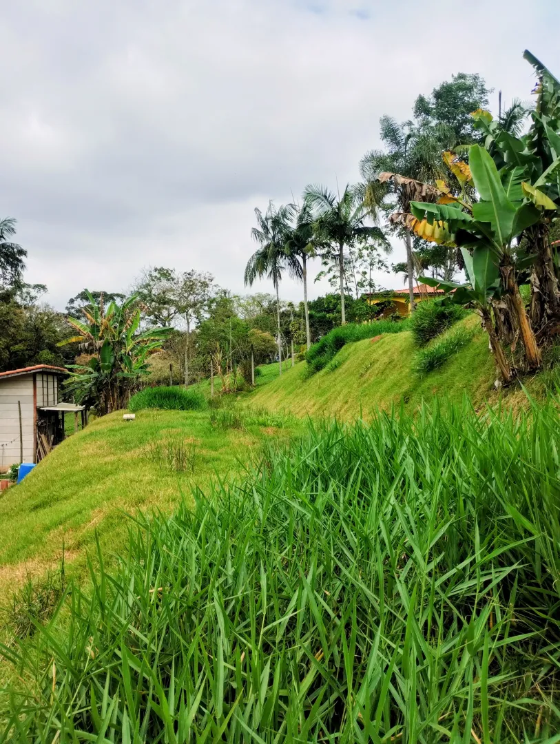 Ch&aacute;cara &agrave; venda no Bosque do Jaguari  Igaratá - 