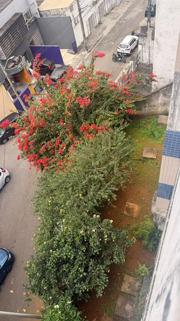 QUARTO E SALA VARANDA GARAGEM ELEVADOR &Agrave; VENDA NO RIO VERMELHO!  Salvador - 