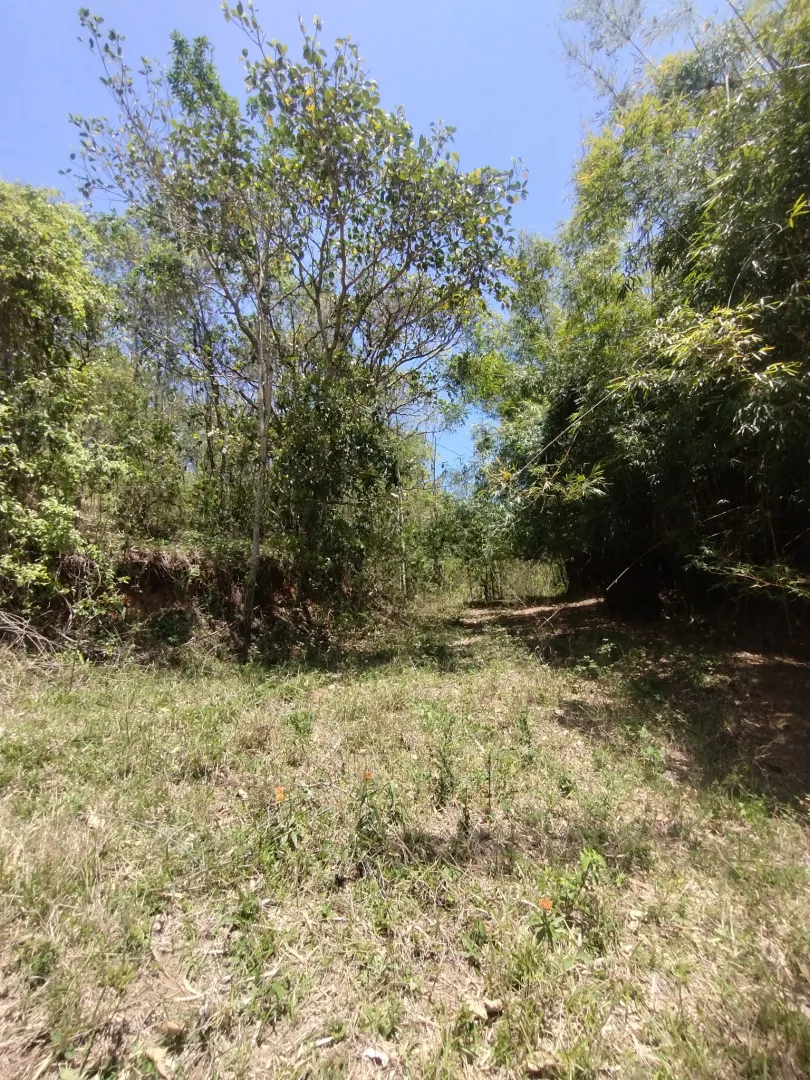 Terreno com boa topografia &agrave; venda no bairro do Pinhal  Jacareí - 