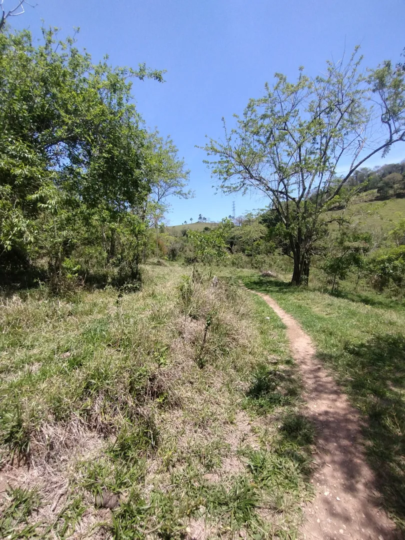 Terreno com boa topografia &agrave; venda no bairro do Pinhal  Jacareí - 