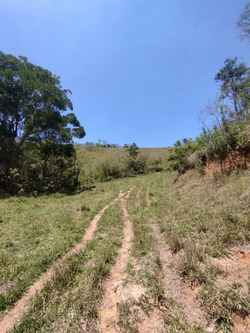 Terreno com boa topografia &agrave; venda no bairro do Pinhal  Jacareí - 
