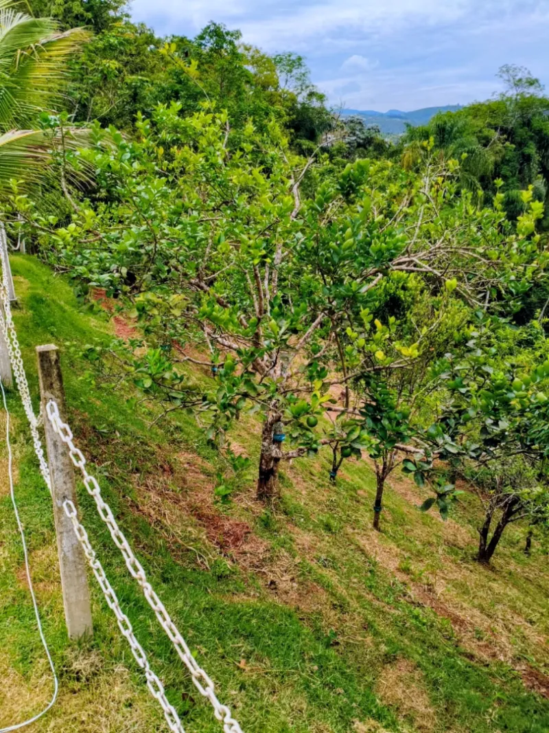 Ch&aacute;cara p&eacute; na &aacute;gua &agrave; venda na Fazenda S&atilde;o Pedro Rua Sacerdote Igaratá - 