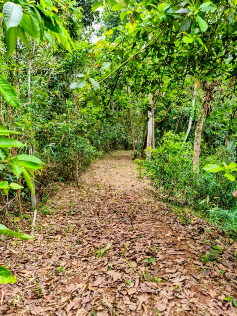 Ch&aacute;cara p&eacute; na &aacute;gua &agrave; venda na Fazenda S&atilde;o Pedro Rua Sacerdote Igaratá - 