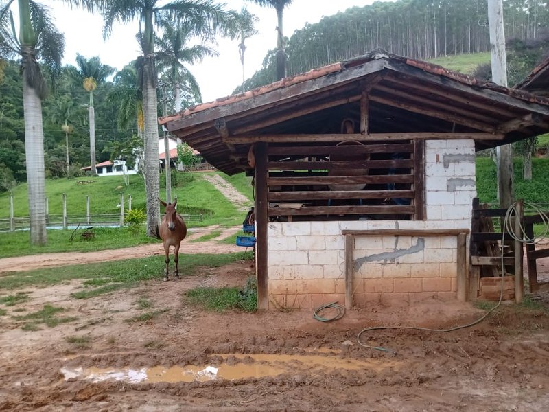 Fazenda 208 hectares em paraibuna! - Paraibuna - 
