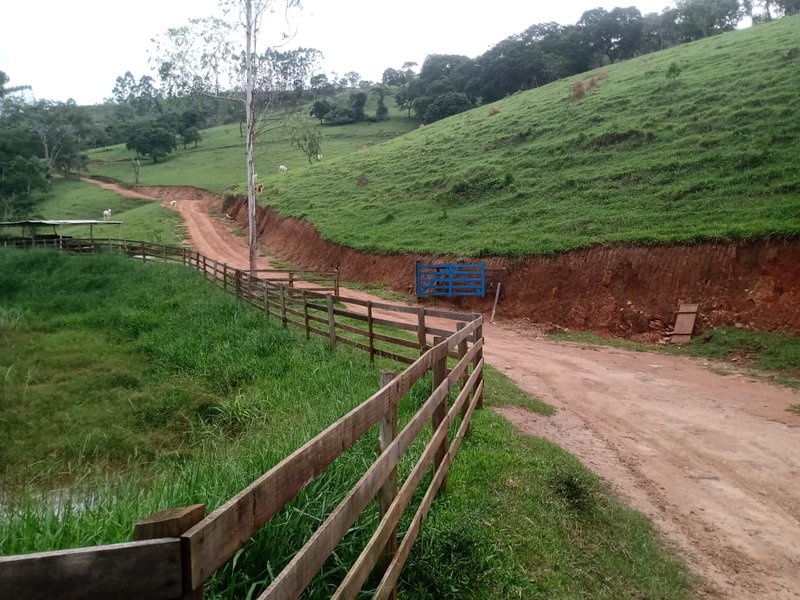 Fazenda 208 hectares em paraibuna! - Paraibuna - 