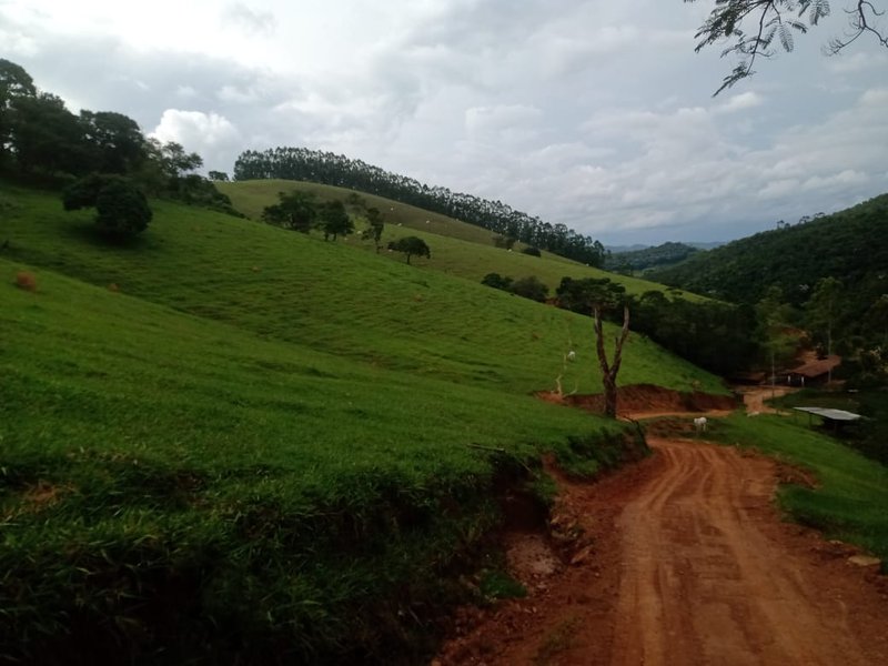 Fazenda 208 hectares em paraibuna! - Paraibuna - 