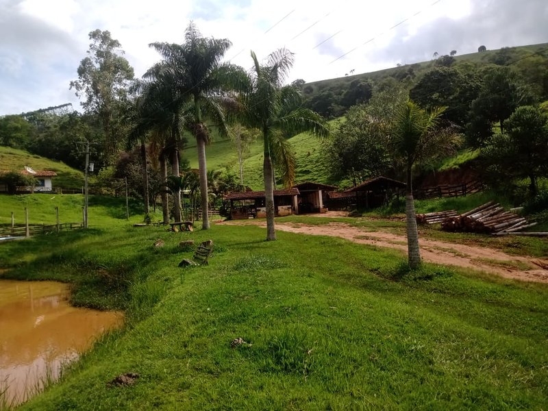 Fazenda 208 hectares em paraibuna! - Paraibuna - 