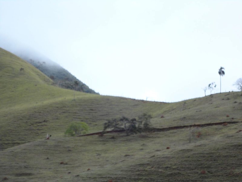 Belíssima Fazenda 121 Hectares Em Taubaté! - Taubaté - 