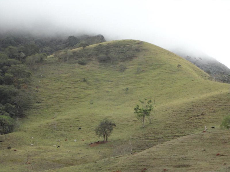 Belíssima Fazenda 121 Hectares Em Taubaté! - Taubaté - 