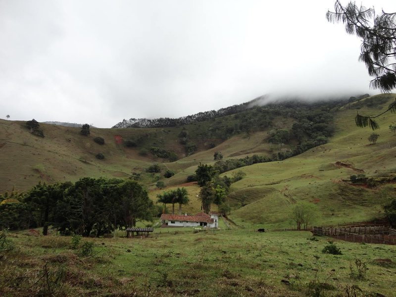 Belíssima Fazenda 121 Hectares Em Taubaté! - Taubaté - 