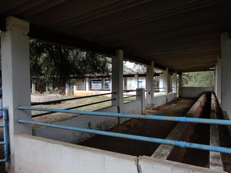 Belíssima Fazenda 121 Hectares Em Taubaté! - Taubaté - 