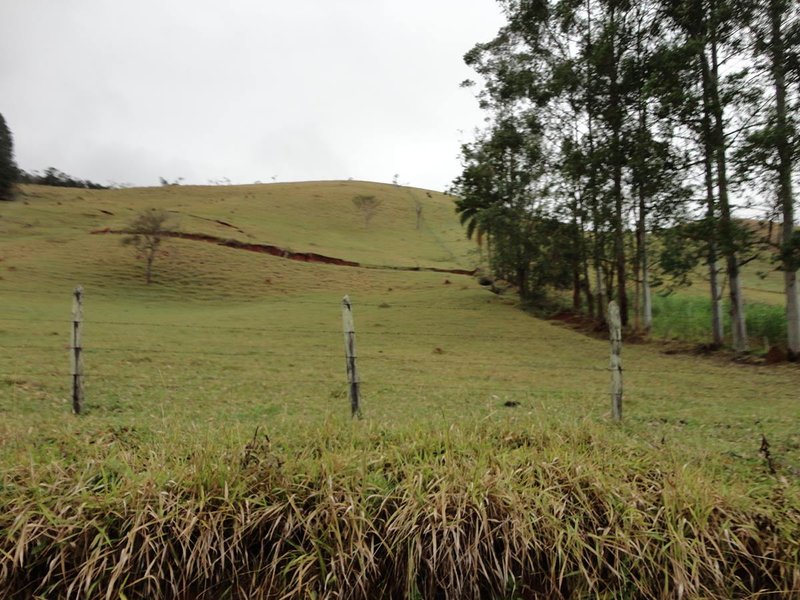 Belíssima Fazenda 121 Hectares Em Taubaté! - Taubaté - 