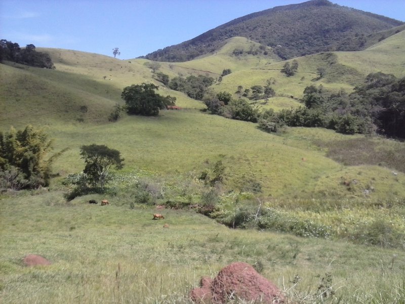 Belíssima Fazenda 121 Hectares Em Taubaté! - Taubaté - 