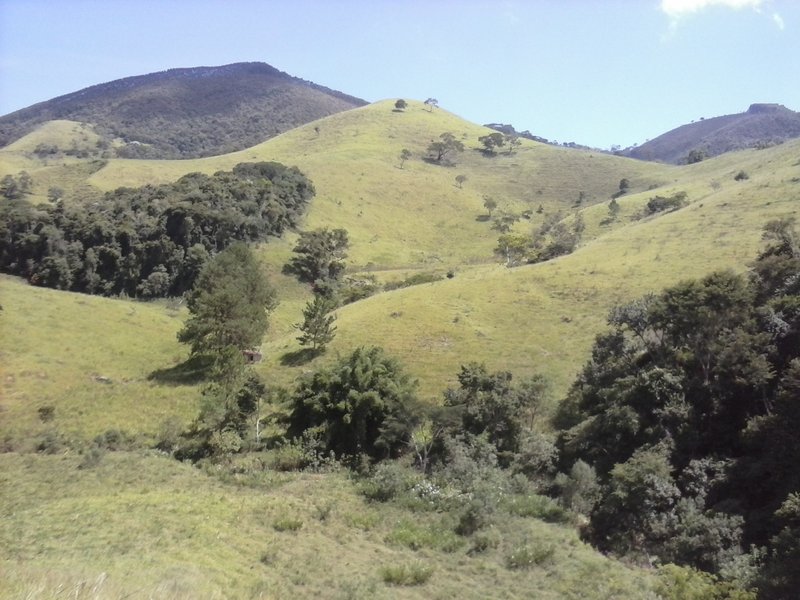Belíssima Fazenda 121 Hectares Em Taubaté! - Taubaté - 