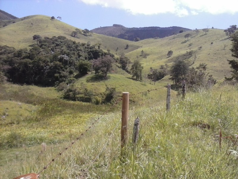 Belíssima Fazenda 121 Hectares Em Taubaté! - Taubaté - 