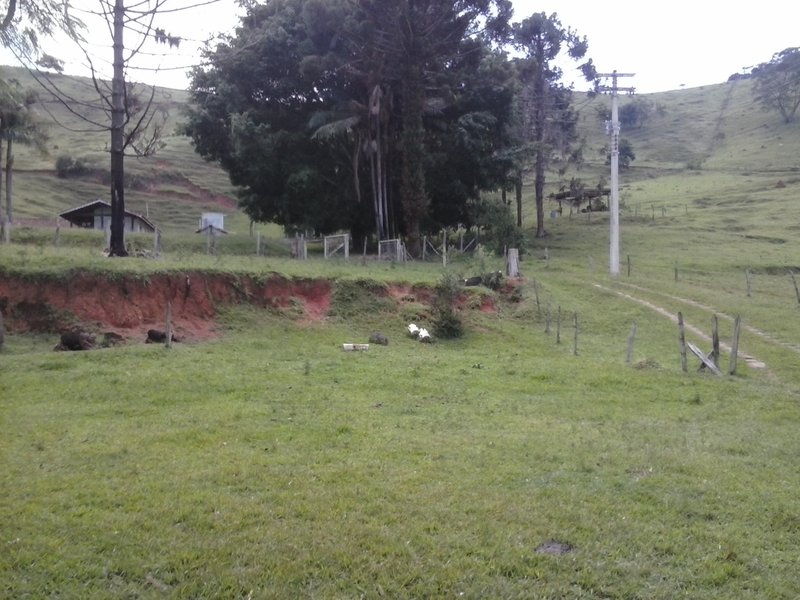 Belíssima Fazenda 121 Hectares Em Taubaté! - Taubaté - 