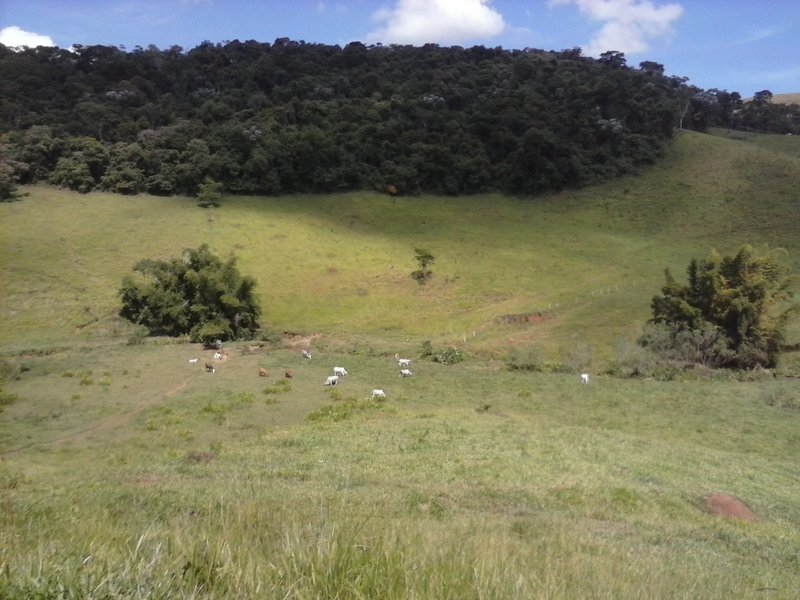Belíssima Fazenda 121 Hectares Em Taubaté! - Taubaté - 