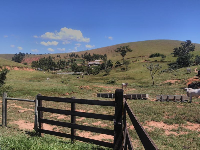 Fazenda Com 225 Hectares e Casa de Alto Padrão em Guaratinguetá - Guaratinguetá - 