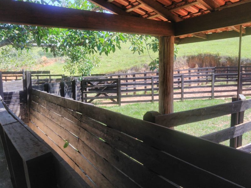 Fazenda Com 225 Hectares e Casa de Alto Padrão em Guaratinguetá - Guaratinguetá - 