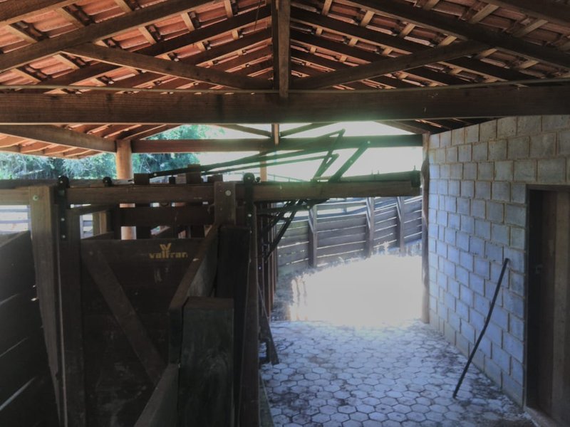 Fazenda Com 225 Hectares e Casa de Alto Padrão em Guaratinguetá - Guaratinguetá - 