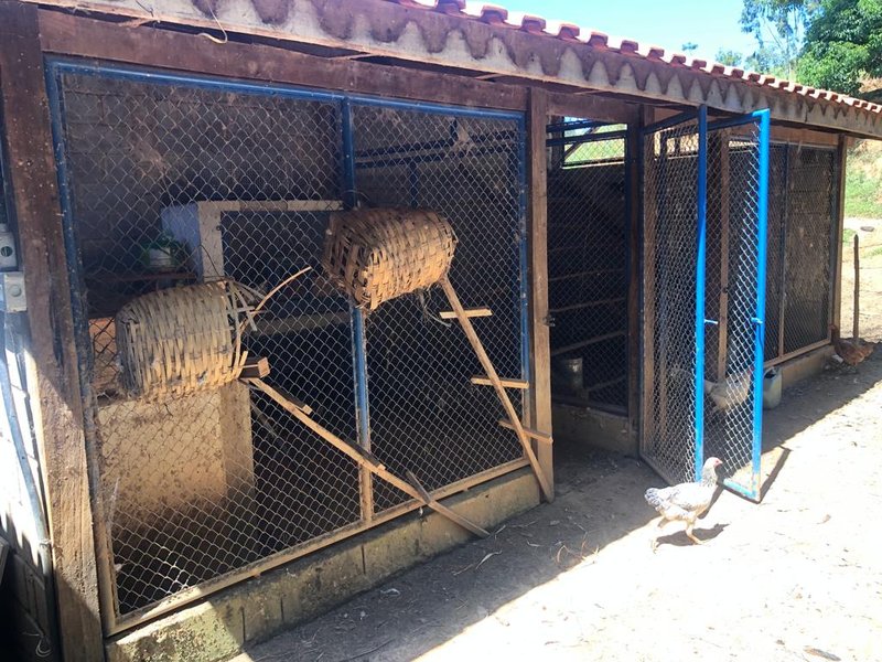 Fazenda Com 225 Hectares e Casa de Alto Padrão em Guaratinguetá - Guaratinguetá - 