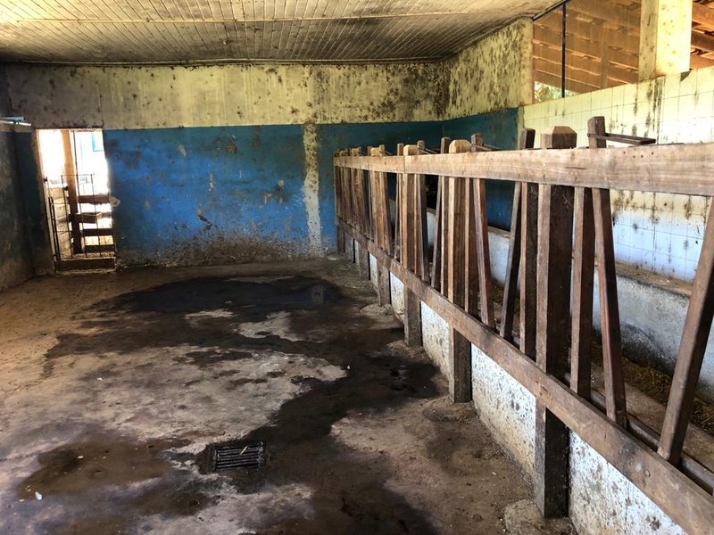Fazenda Com 225 Hectares e Casa de Alto Padrão em Guaratinguetá - Guaratinguetá - 