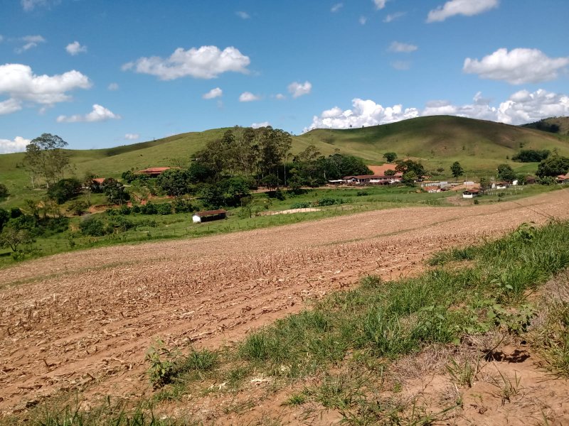 Excelente Fazenda de 237 hectares em canas - CANAS - 