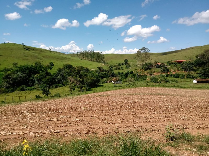 Excelente Fazenda de 237 hectares em canas - CANAS - 