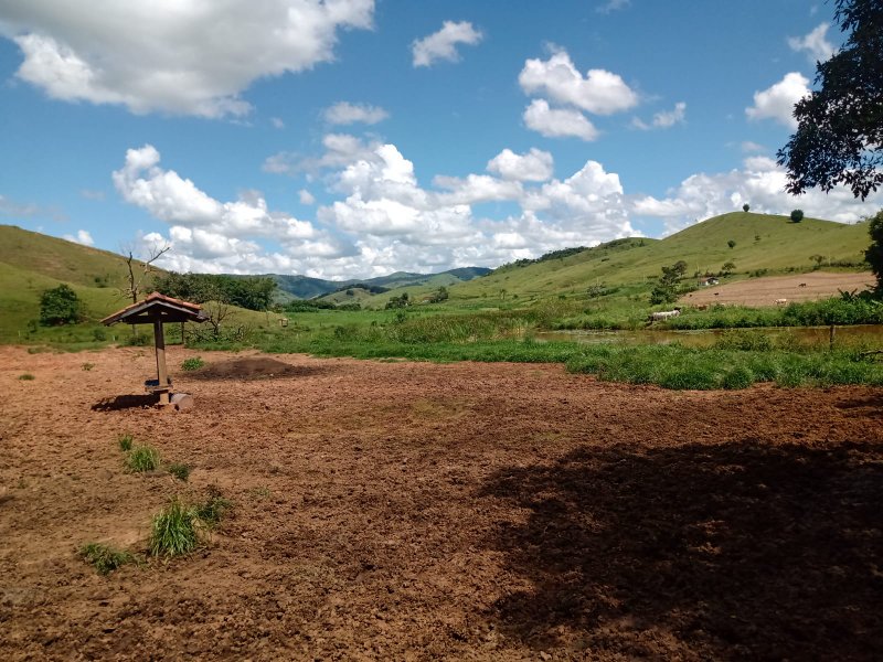 Excelente Fazenda de 237 hectares em canas - CANAS - 