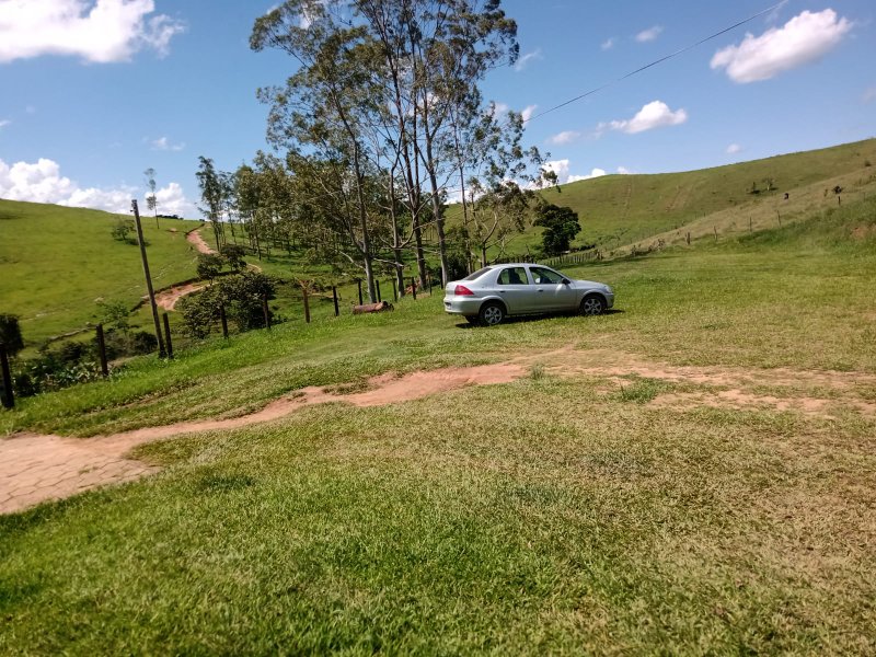 Excelente Fazenda de 237 hectares em canas - CANAS - 