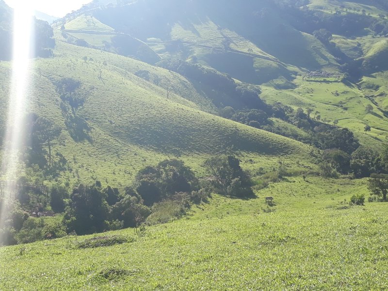 Sítio 19.3 hectares em Delfim Moreira/MG - DELFIM MOREIRA - 
