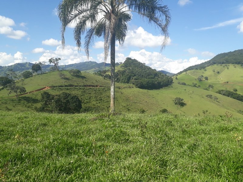 Sítio 19.3 hectares em Delfim Moreira/MG - DELFIM MOREIRA - 
