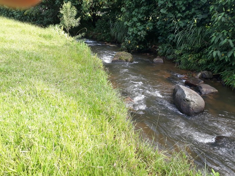 Sítio 19.3 hectares em Delfim Moreira/MG - DELFIM MOREIRA - 
