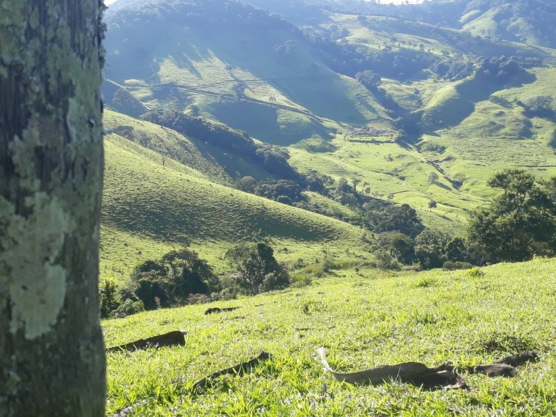 Sítio 19.3 hectares em Delfim Moreira/MG - DELFIM MOREIRA - 