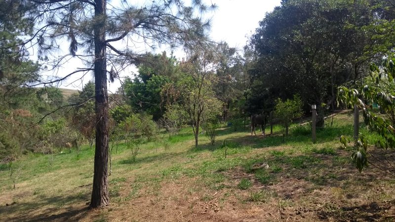 Chácara 5.000 metros em caçapava - Caçapava - 