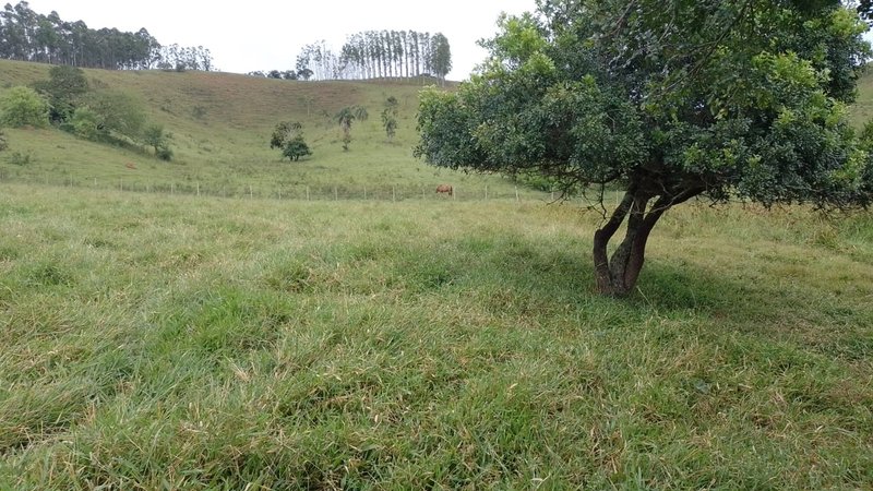 Sítio 43.000 metros em paraibuna - Paraibuna - 