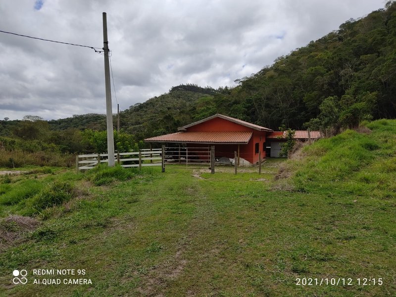Sítio 16.4 alqueires em Natividade da serra - NATIVIDADE DA SERRA - 