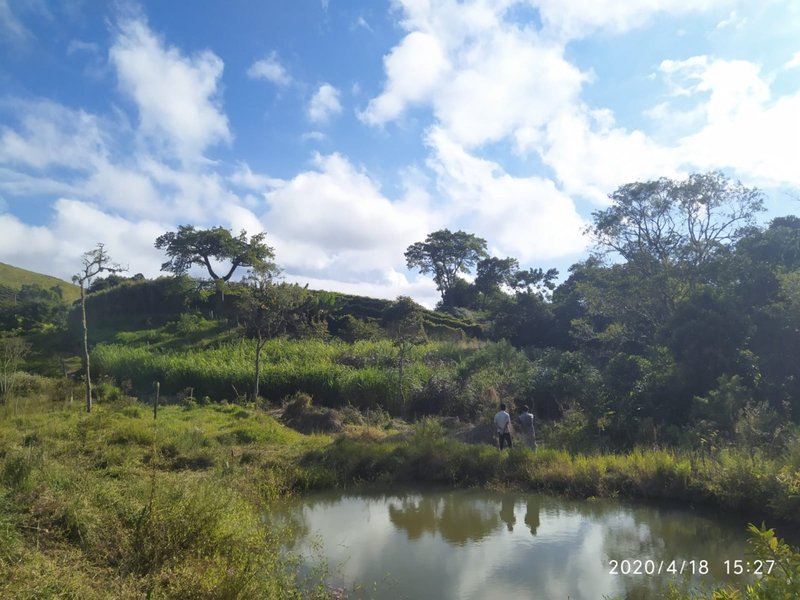 Sítio 16.4 alqueires em Natividade da serra - NATIVIDADE DA SERRA - 