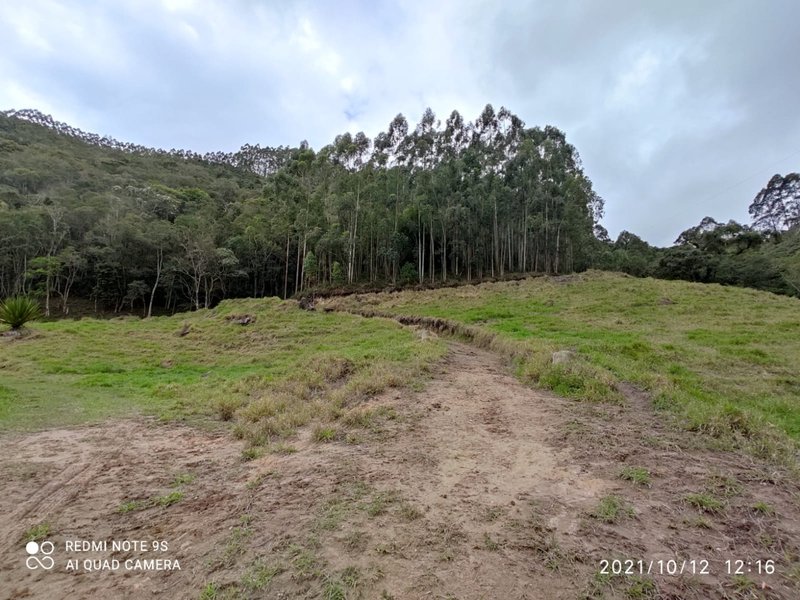 Sítio 16.4 alqueires em Natividade da serra - NATIVIDADE DA SERRA - 