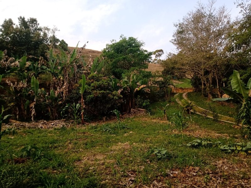 Sítio 2.4 hectares em São josé dos campos - São José dos Campos - 