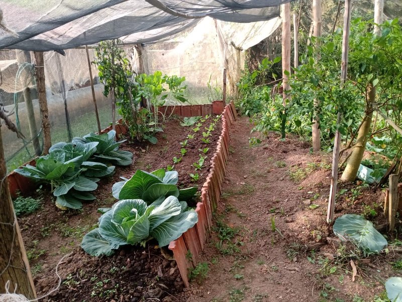 Sítio 2.4 hectares em São josé dos campos - São José dos Campos - 