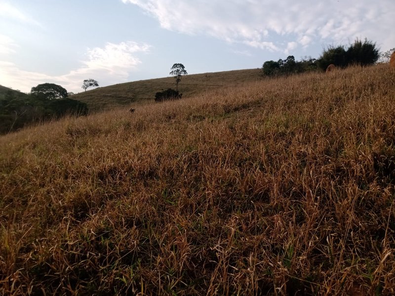 Sítio 2.4 hectares em São josé dos campos - São José dos Campos - 