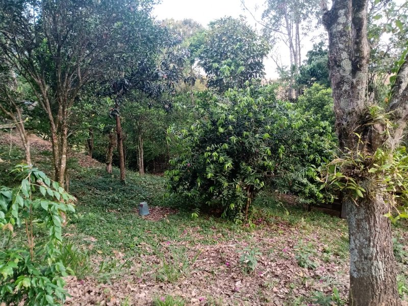 Sítio 2.4 hectares em São josé dos campos - São José dos Campos - 