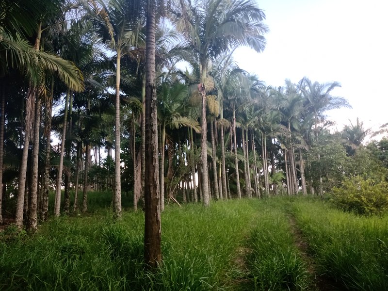 Sitio 48.000 metros em São josé dos campos - São José dos Campos - 
