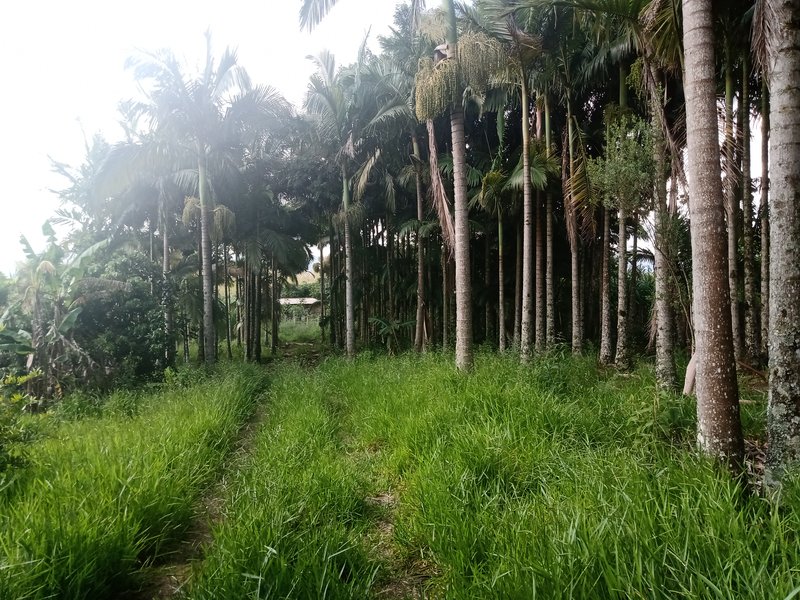 Sitio 48.000 metros em São josé dos campos - São José dos Campos - 